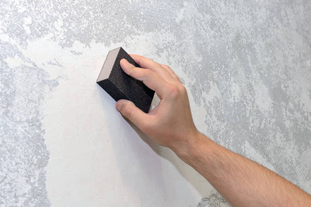 Best HVAC Mold Inspection and Cleaning  in Newberry, MI