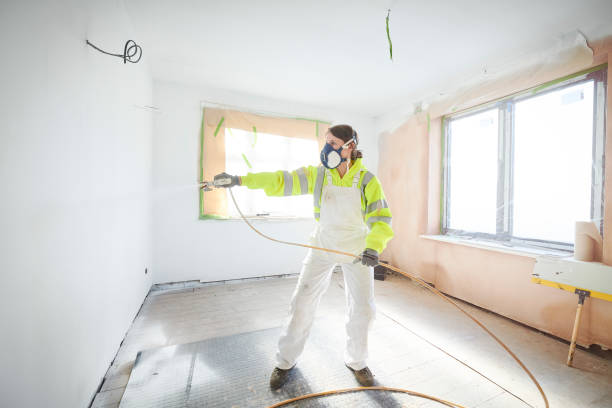 Best Mold Odor Removal Services  in Newberry, MI