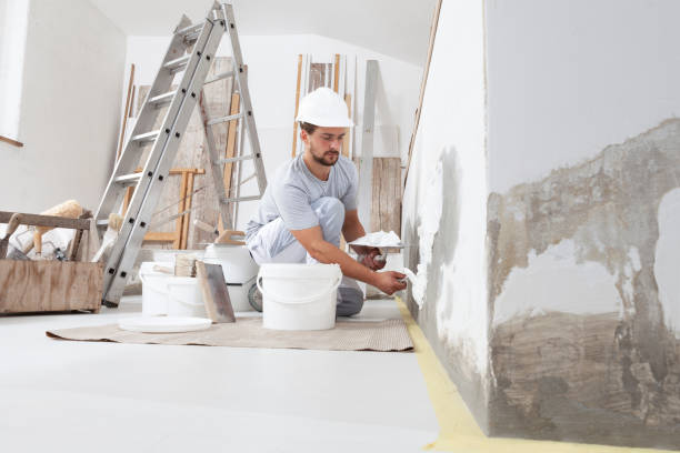 Best Water Damage & Mold Remediation  in Newberry, MI