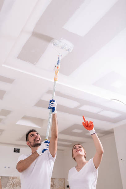 Best Black Mold Removal  in Newberry, MI