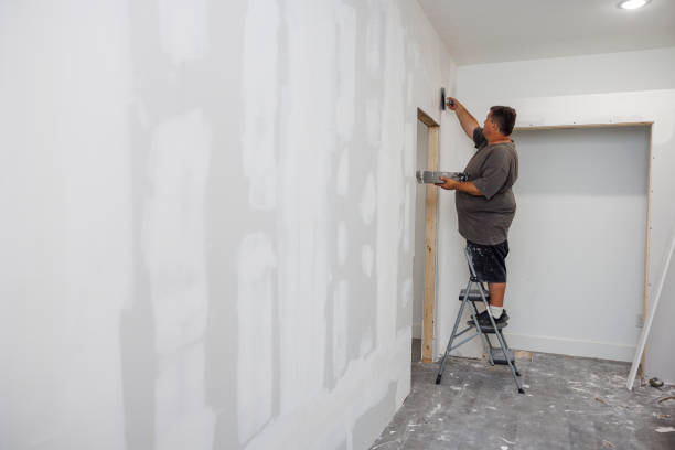Best Attic Mold Removal  in Newberry, MI