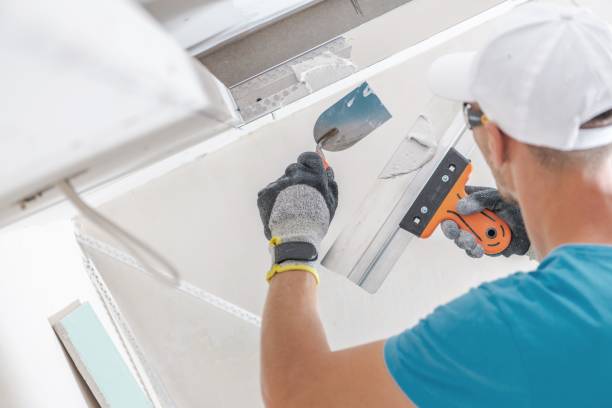 Best Environmental Consulting for Mold Prevention  in Newberry, MI